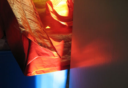 Carrier bag in the sun