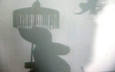 Shadow of a rabbit