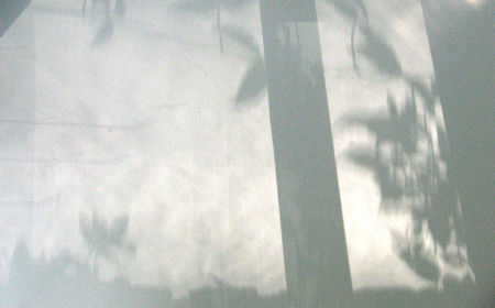 Shadows on wall