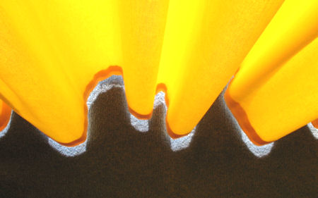 Yellow curtain