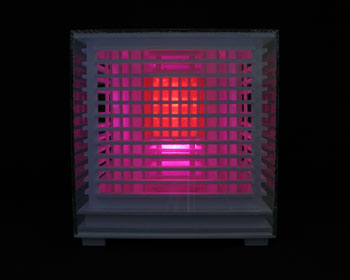 General view - pink