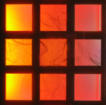 Close Up Of Edge